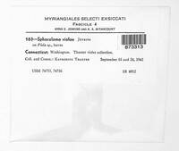 Image Associated With the Occurence